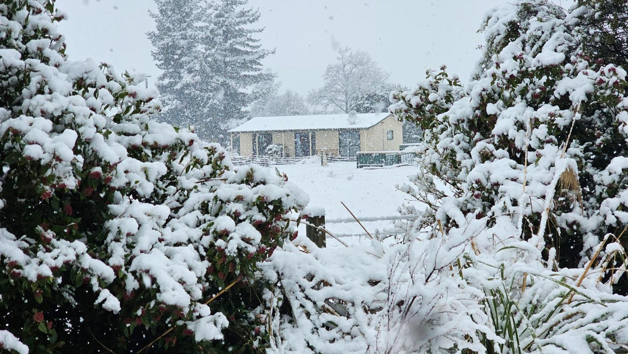 Bahara Accommodation Springfield Dış mekan fotoğraf